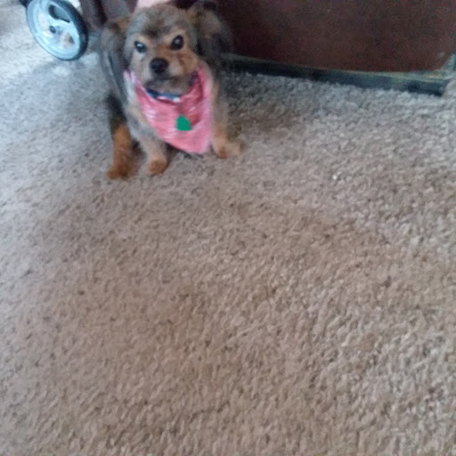 Pet Supply Store «EarthWise Pet Panama City», reviews and photos, 632 W 23rd St, Panama City, FL 32405, USA