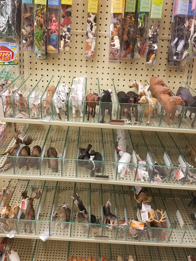 Craft Store «Hobby Lobby», reviews and photos, 2200 War Admiral Way #130, Lexington, KY 40509, USA