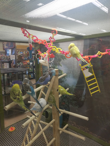 Pet Supply Store «Petco Animal Supplies», reviews and photos, 2522 W Moreland Rd, Willow Grove, PA 19090, USA