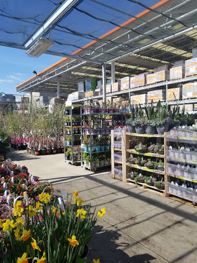 Home Improvement Store «The Home Depot», reviews and photos, 2250 Easton Rd, Willow Grove, PA 19090, USA