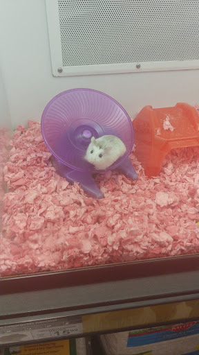 Pet Supply Store «Petco Animal Supplies», reviews and photos, 1410 N Loop 336 W, Conroe, TX 77304, USA