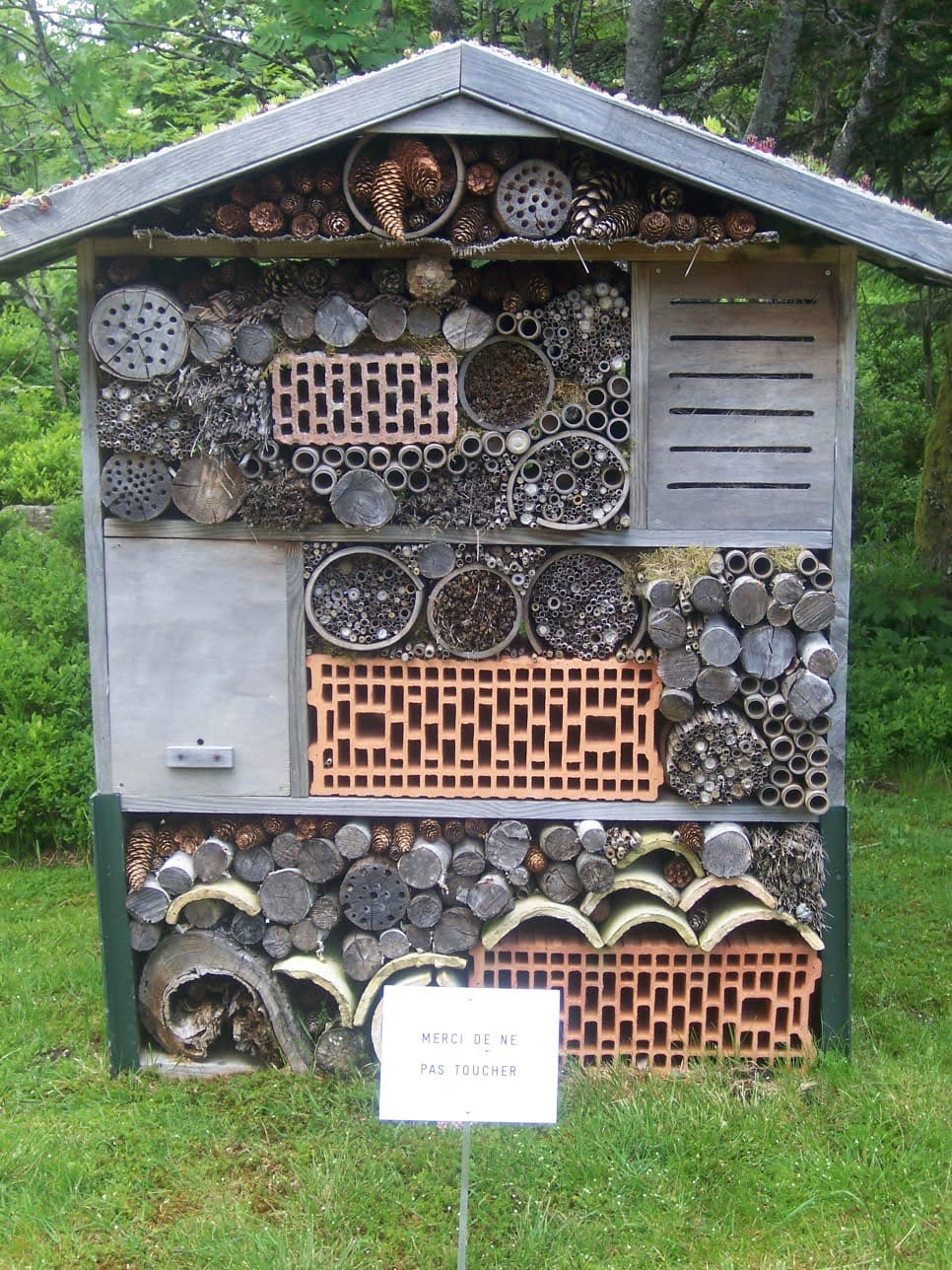 Photo n° 7 de l'avis de Christiane.e fait le 15/06/2021 à 17:16