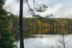 Ritajärvi nature reserve image