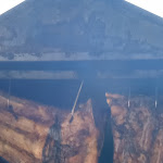 Photo n°19 de l'avis de Francesco.e fait le 28/08/2022 à 19:21 sur le  Agriturismo Piano di Pero à Dipignano