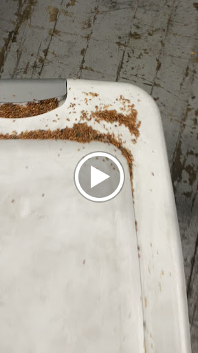 Self-Storage Facility «Treasure Island Storage», reviews and photos, 404 Grand St, Paterson, NJ 07505, USA