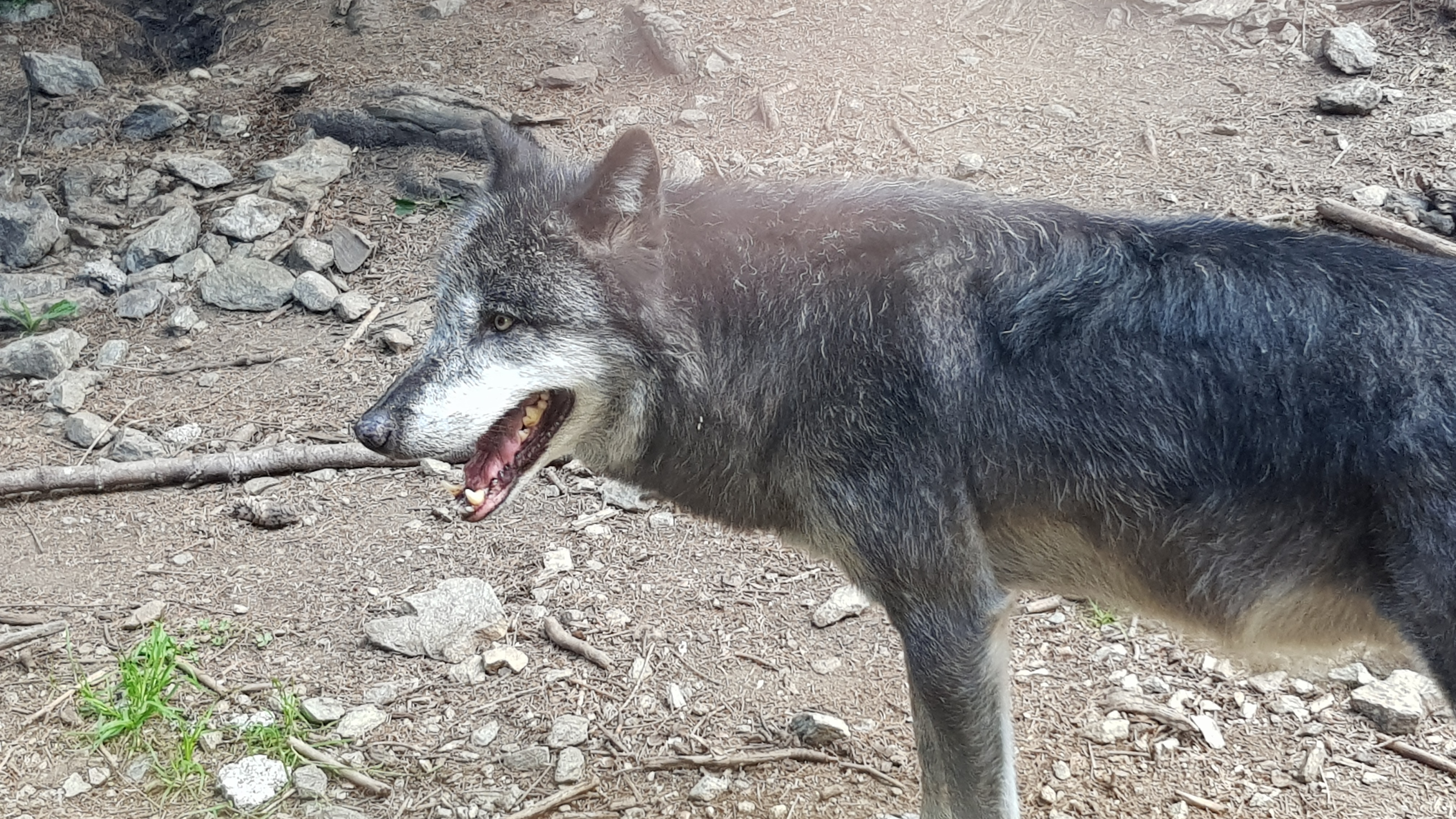 Photo n° 3 de l'avis de Noémie. fait le 05/09/2019 à 15:10
