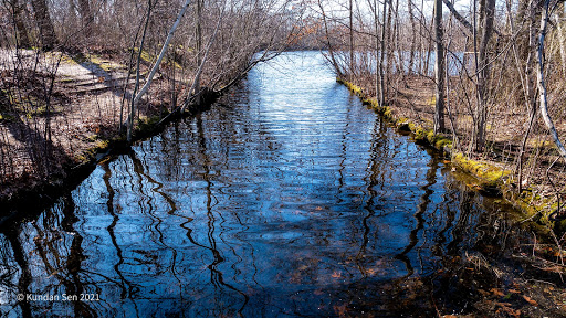 Nature Preserve «Twin Lakes Preserve», reviews and photos, Park Ave, Wantagh, NY 11793, USA