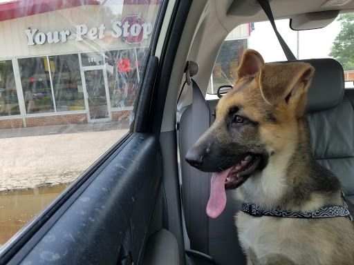 Pet Supply Store «Your Pet Stop», reviews and photos, 501 E 41st St, Sioux Falls, SD 57105, USA