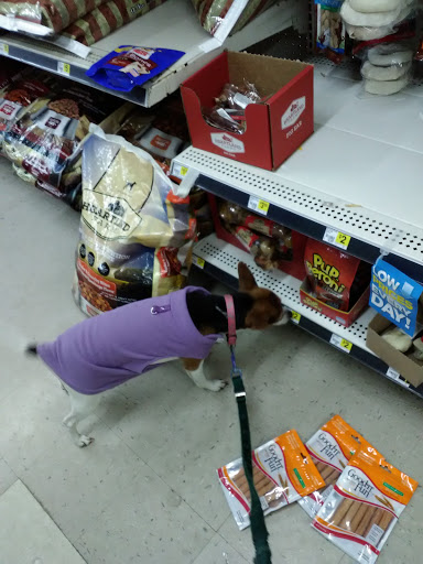 Discount Store «Dollar General», reviews and photos, 1265 Judy Ave, Bridgeport, IL 62417, USA