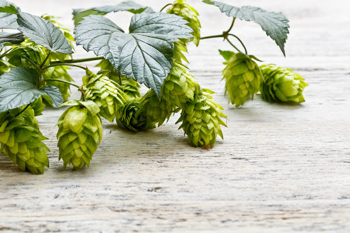 BetaTec Hop Products
