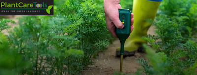 Plantcaretools à Hautefort