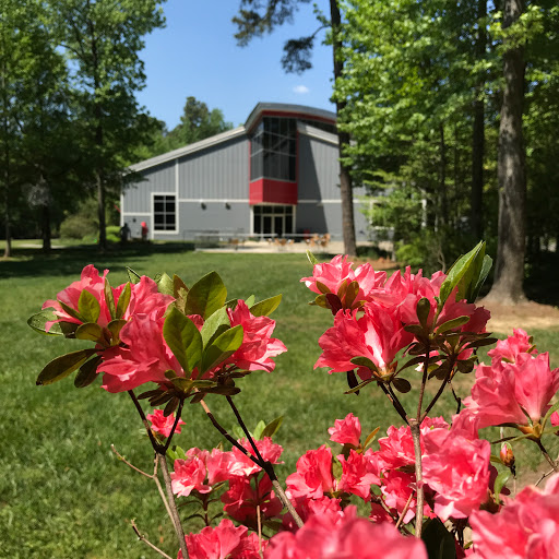 Art Center «Annmarie Sculpture Garden and Arts Center», reviews and photos, 13480 Dowell Rd, Dowell, MD 20629, USA