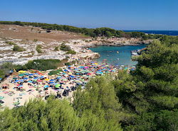 Photo de Spiaggia di Porto Badisco avec baie spacieuse