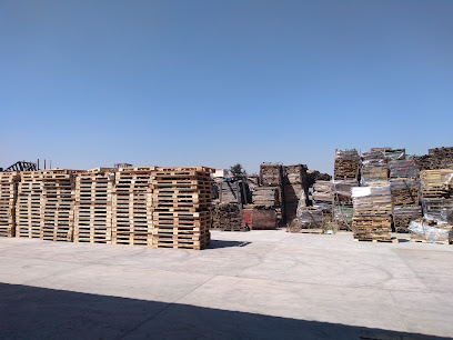 Pallets Alfa Texcoco portada