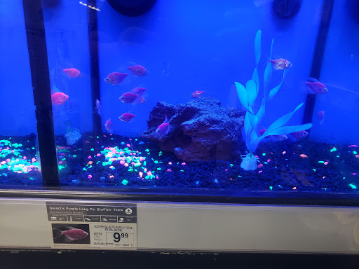 Pet Supply Store «Petco Animal Supplies», reviews and photos, 6761 Westminster Ave, Westminster, CA 92683, USA