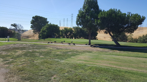 Golf Course «Delta View Golf Course», reviews and photos, 2232 Golf Club Rd, Pittsburg, CA 94565, USA