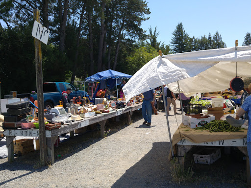 Flea market Santa Rosa