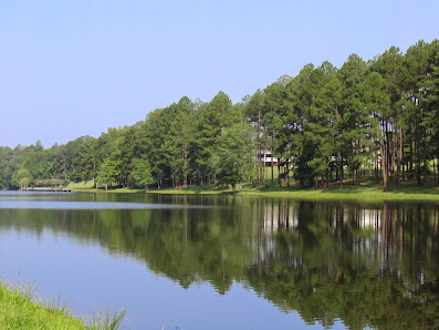 Springville Camp & Conference 3886 Mountain View Rd #6316, Odenville, AL 35120