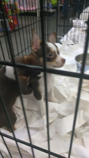 Pet Supply Store «Our Pet World», reviews and photos, 380 Semoran Commerce Pl, Apopka, FL 32703, USA