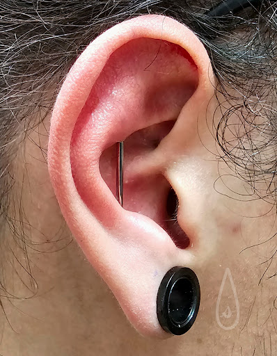 Explore tattoo fillers ideas, creative tattoo ideas in Addison, available at Cat Tattoo