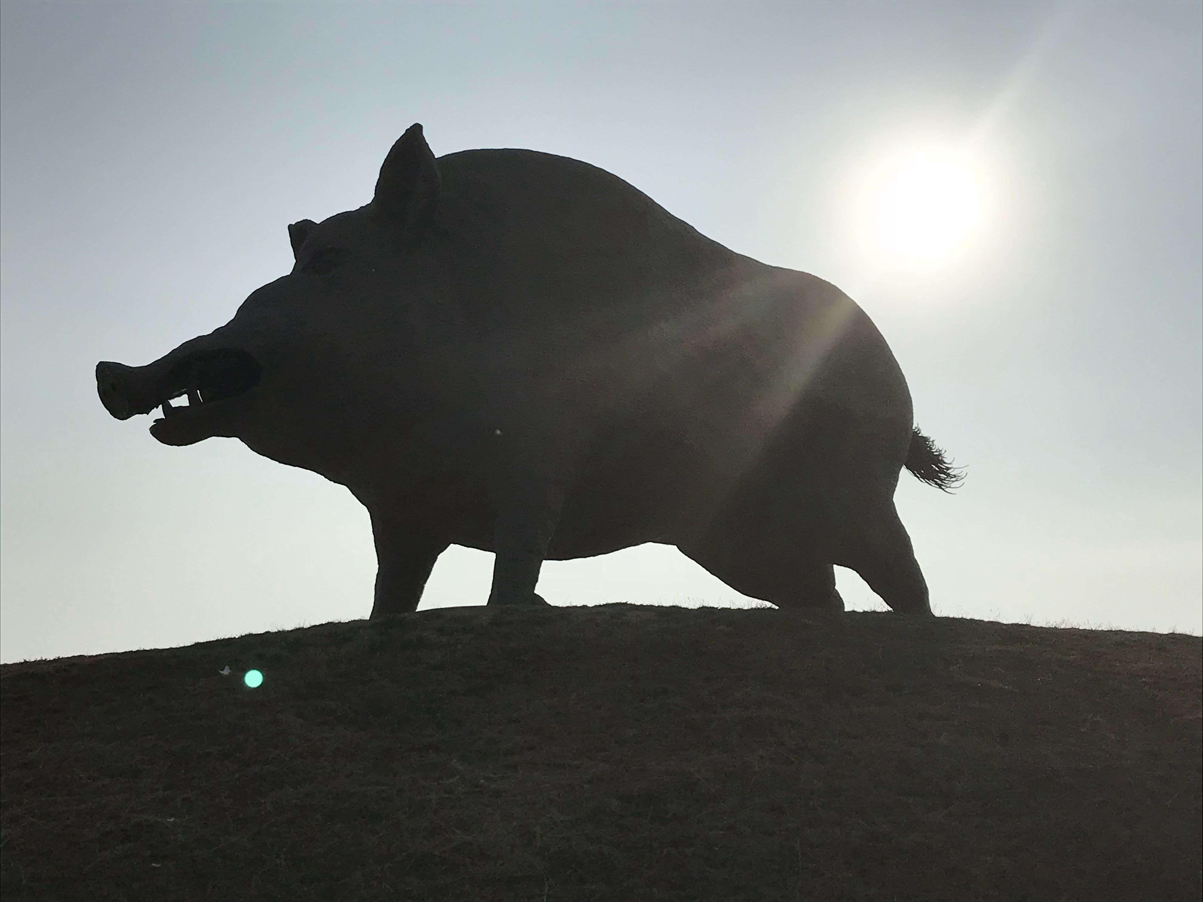 Photo n° 4 de l'avis de E. fait le 01/07/2018 à 13:42