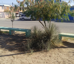 Jiquilpan Park photo