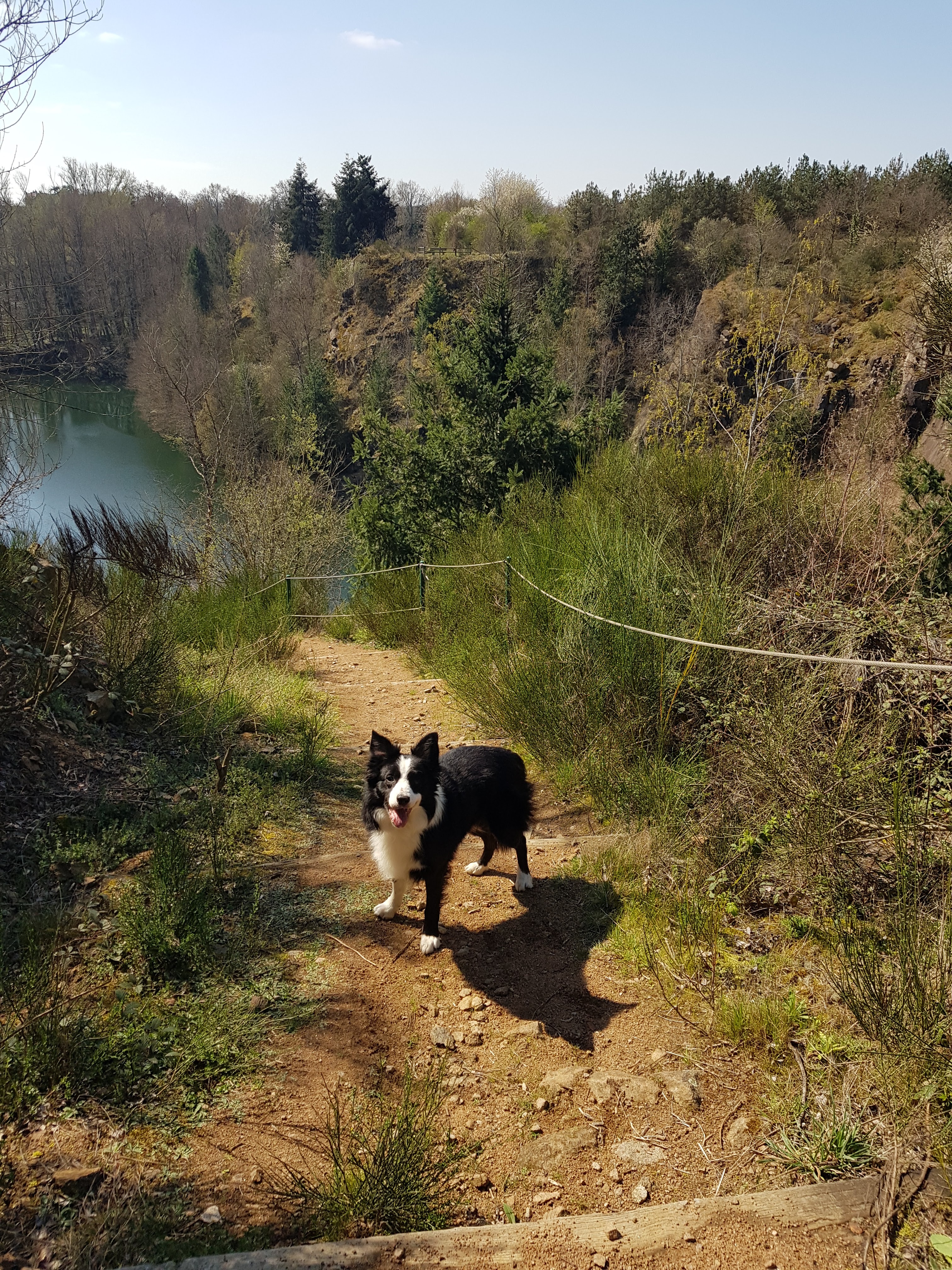Photo n° 5 de l'avis de Jolanda.l fait le 10/04/2022 à 21:07
