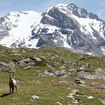 Photo n° 3 de l'avis de Corine.i fait le 10/07/2017 à 18:45 pour Chalet Rumdoodle à Pralognan-la-Vanoise
