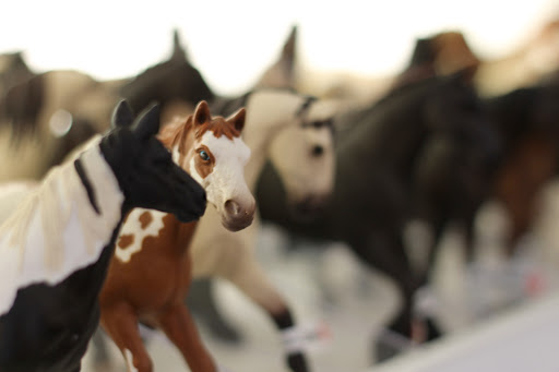 Toy Store «Castle Toys and Games - Wexford, PA», reviews and photos, 12033 Perry Hwy, Wexford, PA 15090, USA