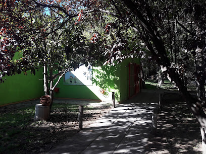 Colegio Verde Limón - Nivel Inicial y Primario