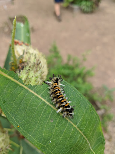 Park «Percy Warner Park», reviews and photos, 7311 Tennessee 100, Nashville, TN 37221, USA