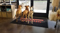 Stuarts House of Vacuums - Photo 3 - Car repair in Billings, MT, Billings