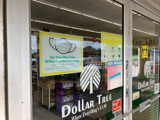 Dollar Store «Dollar Tree», reviews and photos, 4635 Gulf Blvd, St Pete Beach, FL 33706, USA