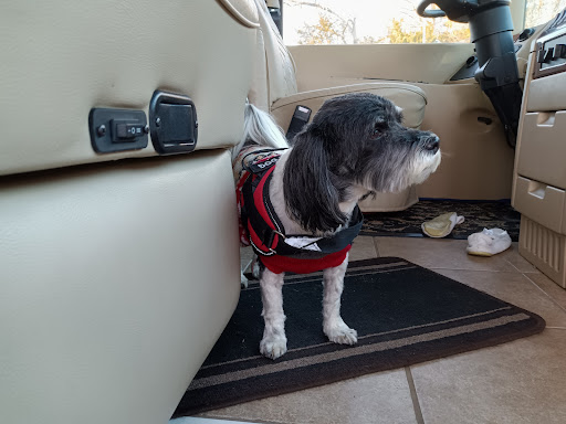 Pet Supply Store «PetSmart», reviews and photos, 211 W Alexander St A, Plant City, FL 33563, USA