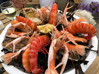 Produits de la mer du Restaurant de fruits de mer ALBATRE ET CAUX 