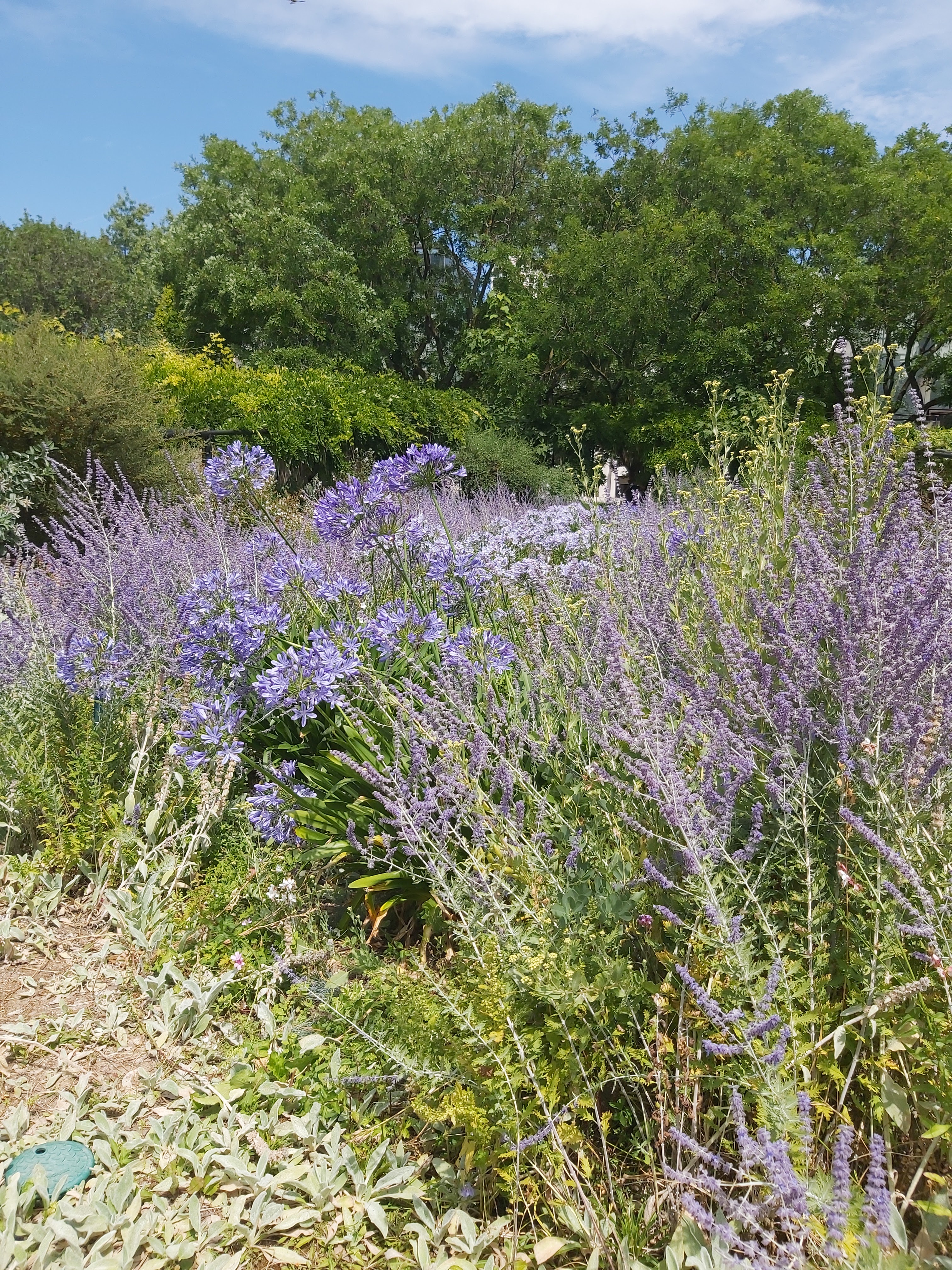 Photo n° 1 de l'avis de Laurence.E fait le 18/07/2023 à 13:36