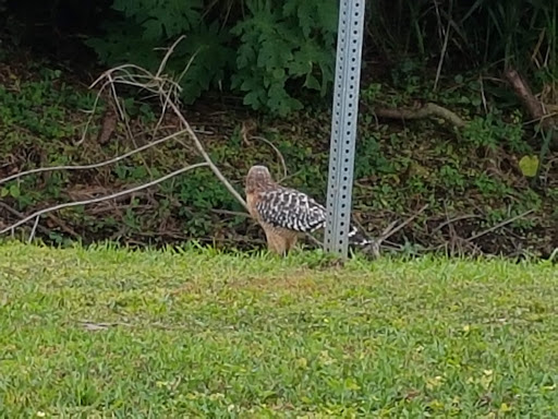 Golf Course «River Run Golf Links», reviews and photos, 1801 27th St E, Bradenton, FL 34208, USA