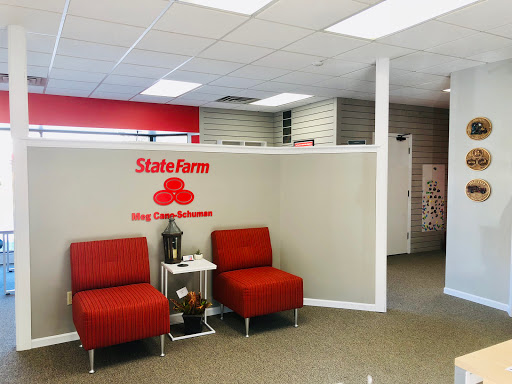 Meg Cano-Schuman - State Farm Insurance Agent in Madison, Wisconsin