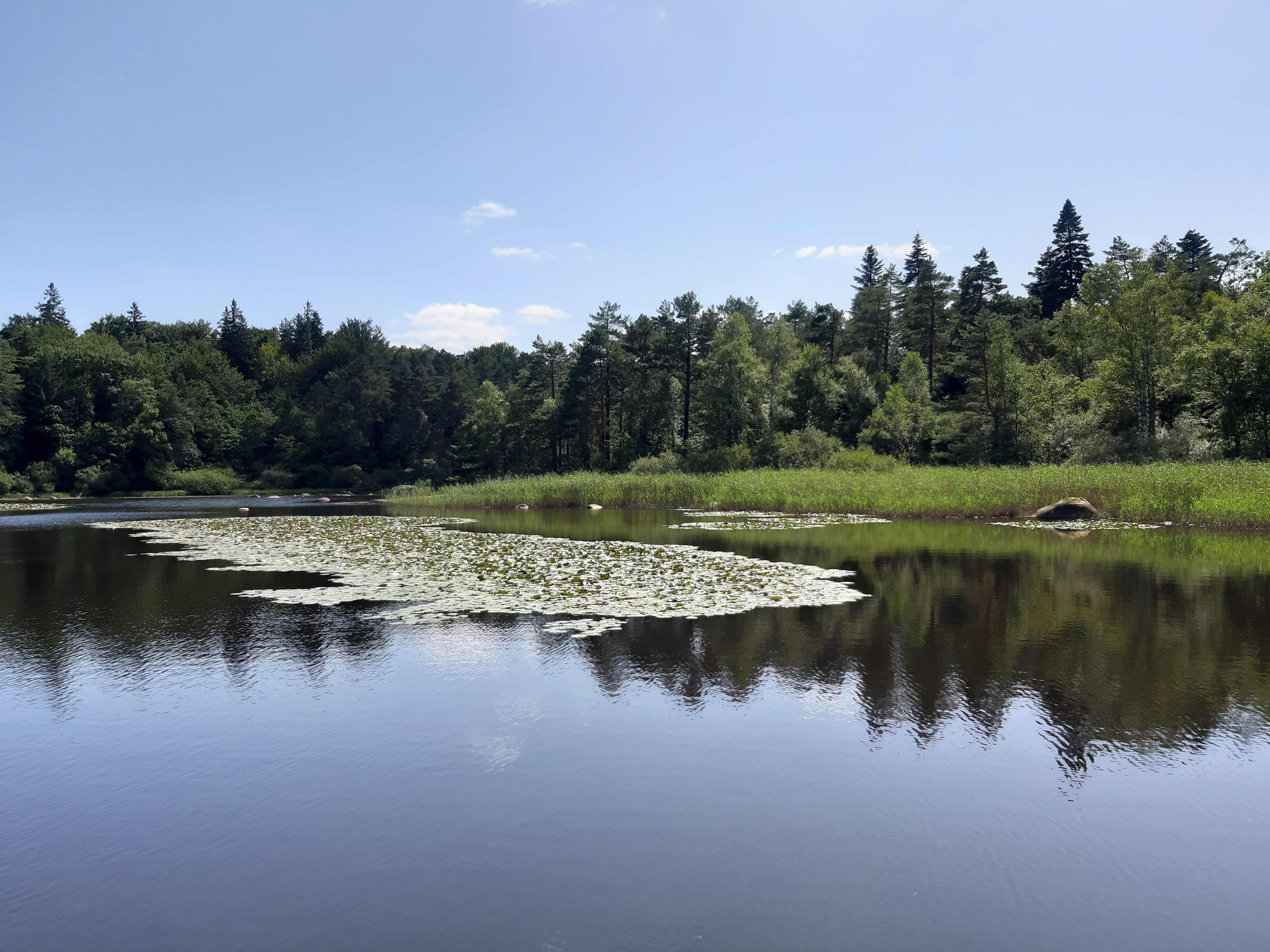 Photo n° 2 de l'avis de Christiane.a fait le 19/08/2019 à 08:17