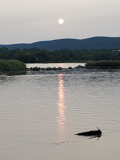 Ferry Service «Millersburg Ferry», reviews and photos, River St, Millersburg, PA 17061, USA