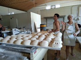 Sonipão De Sobrosa & Araujo, Lda.