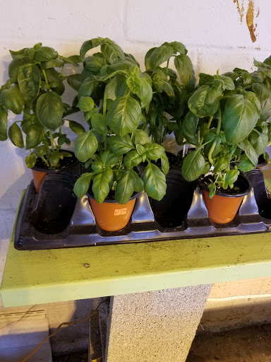 Florist «Lyndhurst Florist», reviews and photos, 5268 Mayfield Rd, Lyndhurst, OH 44124, USA