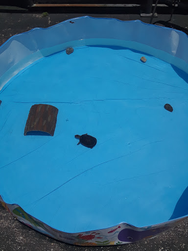 Pet Supply Store «PetSmart», reviews and photos, 211 W Alexander St A, Plant City, FL 33563, USA