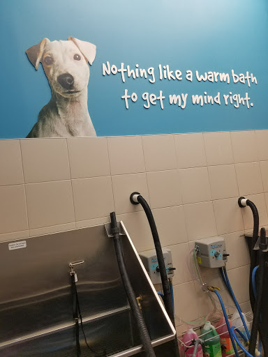 Pet Supply Store «Pet Supplies Plus», reviews and photos, 126 E Main St, Smithtown, NY 11787, USA