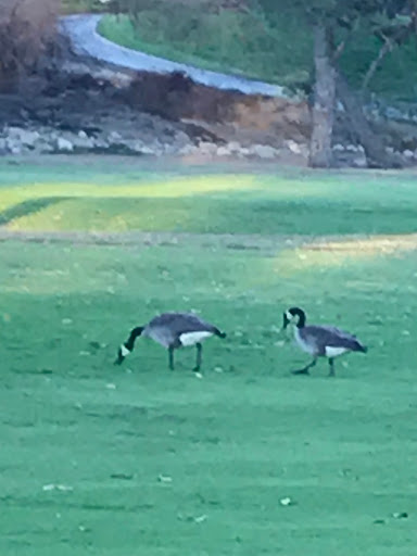 Golf Course «Hansen Dam Golf Course», reviews and photos, 10400 Glenoaks Blvd, Pacoima, CA 91331, USA