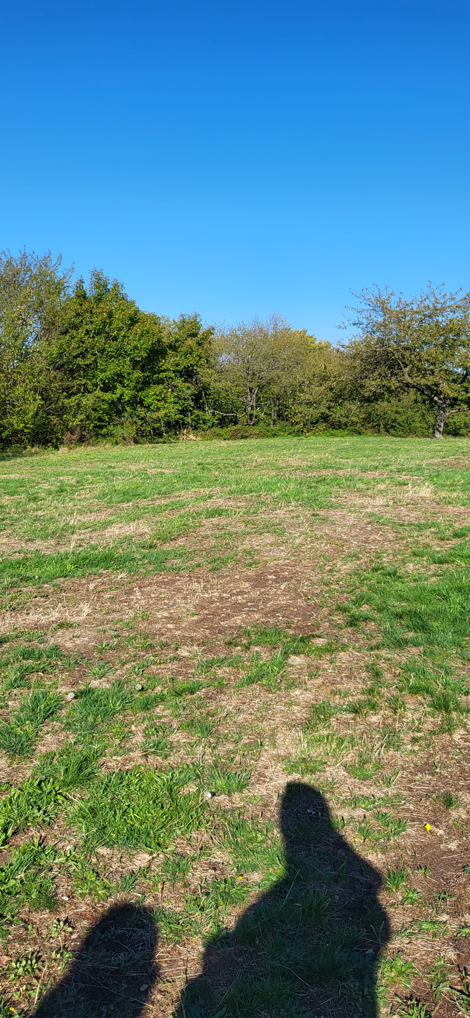 Photo n° 11 de l'avis de Asmae.o fait le 20/09/2022 à 05:34