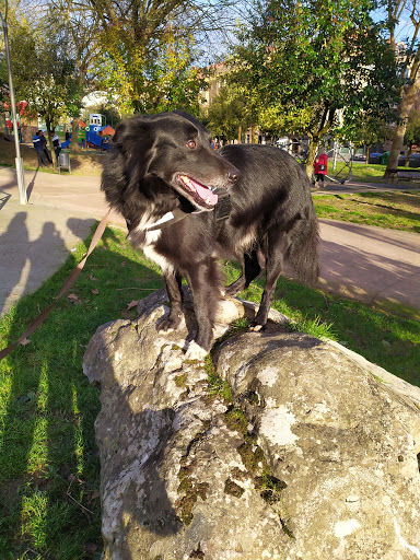 Clínica Yedra Veterinaria en Langreo