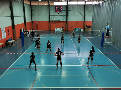 Pavelló municipal d'esports d'Olot en Olot, Girona