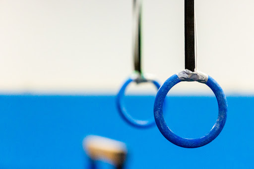 Gymnastics Center «Naperville Gymnastics Club & Dance Academy», reviews and photos, 800 Enterprise Ct, Naperville, IL 60563, USA