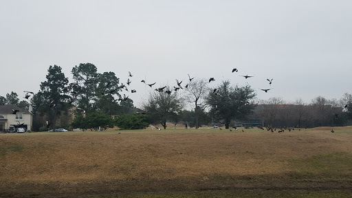 Golf Course «Heron Lakes Golf Course», reviews and photos, 7910 North Sam Houston Pkwy W, Houston, TX 77064, USA